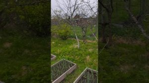 дачный дом с участком золотая осень 450тр