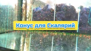 Конус для Скалярий