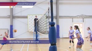 Новый волейбольный проект NNCup провели в рамках финальных матчей «Нижегородской весны»
