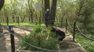 Смоленские таможенники провели субботник на территории воинского захоронения в преддверии Дня Победы
