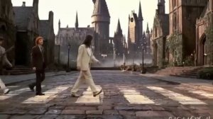 Пародийное музыкальное видео. Гарри Поттер.