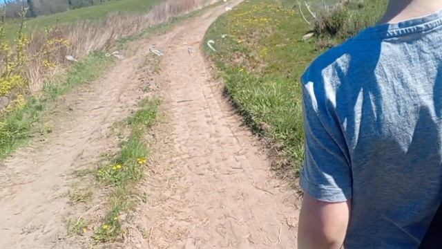дгш 11 сезон 17 серия: животный мир