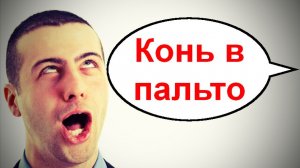 Конь в пальто _ Мошенники звонят по телефону