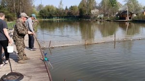 Поимка осетра в малом секторе. РК Липки.