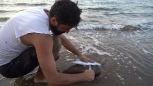 3-дневный турнир по выживанию в одиночку (без еды, воды и укрытия). Поймай и приготовь. Кемпинг
