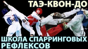 Таэ-квон-до: Школа СПАРРИНГОВЫХ Рефлексов.