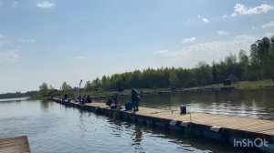 Рыбим водоем форелью! Ежедневный запуск форели