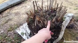 07-05-2026 Реализовалась моя мечта 👍.