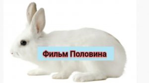 Фильм Половина