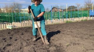 Облегчила посадки картошки, придумала сама.