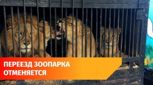 Скандальному зоопарку «Саванна» отказали в переезде под Уфу