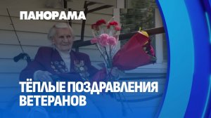 Помним и гордимся! В Плещеницах В канун Дня Победы поздравили 100-летнего ветерана. Панорама