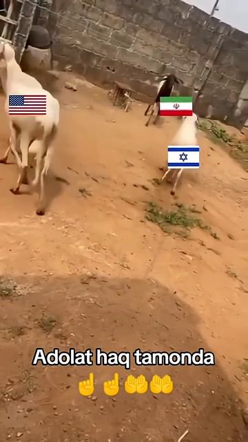 Очень похож .....