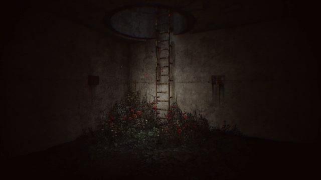 STALKER 2  ambience | Лестница в Оазис