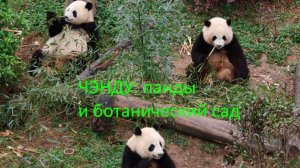Исследовательская база по разведению больших панд и Ботанический сад Чэнду