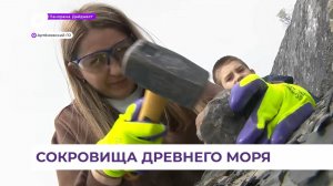 Коллекция уникальных находок на счету палеонтолога-любителя из Приморья