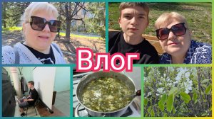 Первый шаг сделан! Покупки с Находка. Весточка от мамы. Угостили щавлем, варю борщец