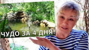 Хейтеры правы: я вру и притворяюсь. Вся правда о дачном прудике без прикрас