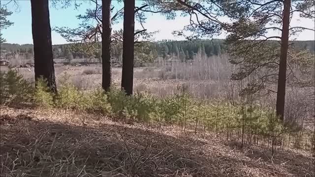 Кладоискательство. Перспективы и его опасности!
