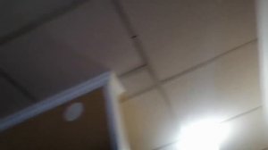 Обзор номера санатория им. Цурюпы. Воронежская область, Лиски