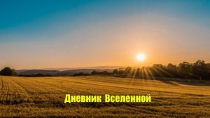 СНИМИ ПОРЧУ НА КИШЕЧНИК. ОПОИ, ОКОРМЫ, ШЛАКИ, ВЗДУТИЕ.