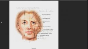 Почему после 40ка лицо начинает «сползать» вниз? Ольга Гулян