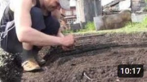 Морковка посадка по семечку не требующая прореживания. Видео высокой чёткости.