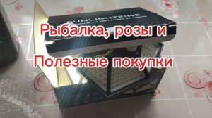 Не рыбалка, а один смех...розы и полезные покупки. Один день из жизни