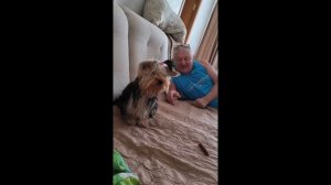 1000003186.mp4сукины родители❤️🐶😂