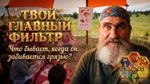 ГЛАВНЫЙ ФИЛЬТР ВАШЕГО ТЕРЕМА: Почему печень забивается и как её спасти?