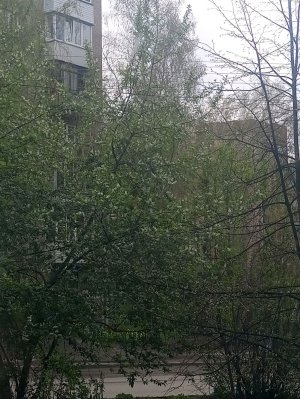 КОФИЕК  и поболтать