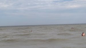 С каждым днем все больше отдыхающих на Азовском море в станице Голубицкая