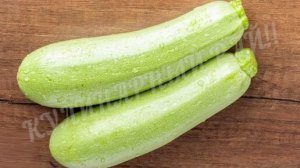 ❓ Что приготовить из кабачков🍆 летом_ 5 лёгких и вкусных рецептов 🥄