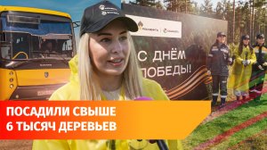 «Башнефть» высадила тысячи деревьев в трёх районах Башкирии
