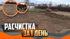 Расчистка участка 7.5 соток | Почему нельзя делать планировку без очистки