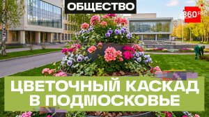 Новые ландшафтные композиции высадили в микрорайоне Мытищ