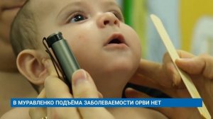 В МУРАВЛЕНКО ПОДЪЁМА ЗАБОЛЕВАЕМОСТИ ОРВИ НЕТ