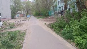 По обычаю - анекдоты