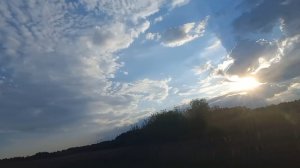 пятый океан//дела цветочные//