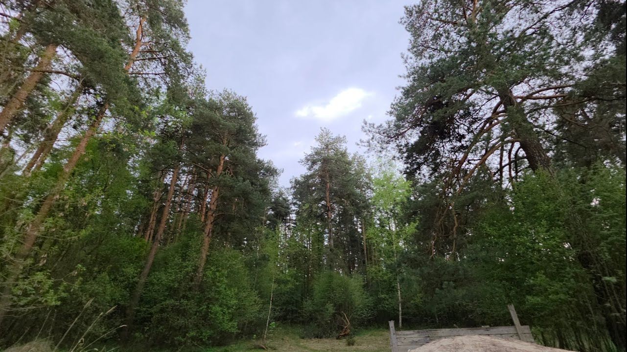 НЕМНОГО КРАСОТЫ...эфир от 7 мая 2026 года...