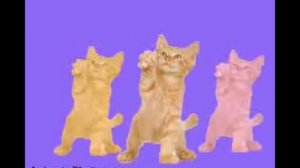 go kitty go! (с ютyБa) я пыталась норм заснять((