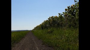 Моя Россия. Красота Русских полей. Лето - Лучшее время Года.