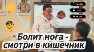 Мы все родом из матки. Как микрофлора бабушки управляет вашими болезнями и можно ли это остановить?