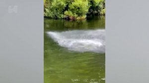 Вы точно провалите этот вызов! 🤪 150 самых смешных видео!