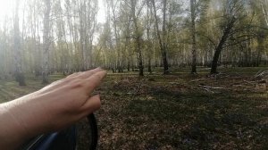 Шоу тюльпанов отдыхает!
