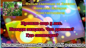 Прошло еще 5 лет. Позади защита. Что дальше. Где спонсоры.