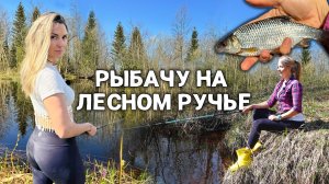 ЧЕРЕЗ МЕДВЕЖЬИ ТРОПЫ К ИСТОКУ РЕКИ! ЛОВЛЮ НА ПОПЛАВОК В ГЛУХОМАНИ.