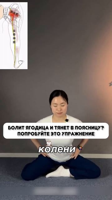 Ягодица и поясница