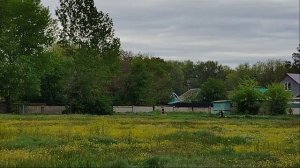 Муниципальная легкоатлетическая эстафета, посвящённая Дню Победы. п.Лиман 2026 год