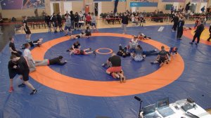 Областные соревнования по спортивной (греко-римской) борьбе посвященные дню победы. Ковер С